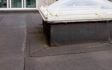 disadvantages of The Murray flat roofs