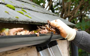 gutter cleaning The Murray, South Lanarkshire